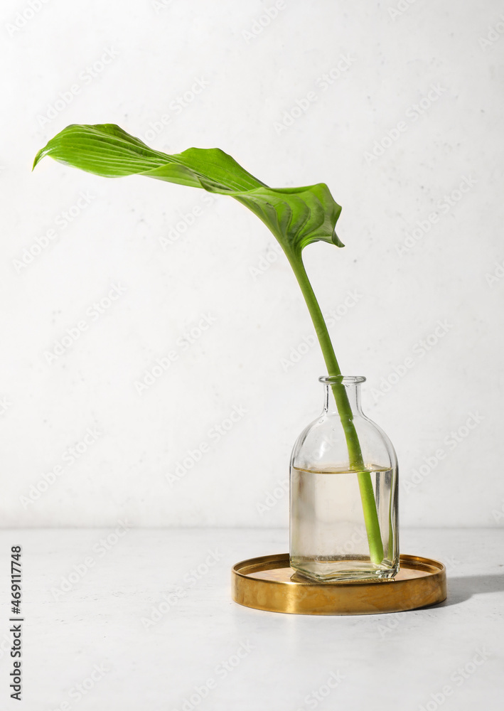 Green tropical leaf in vase on light background