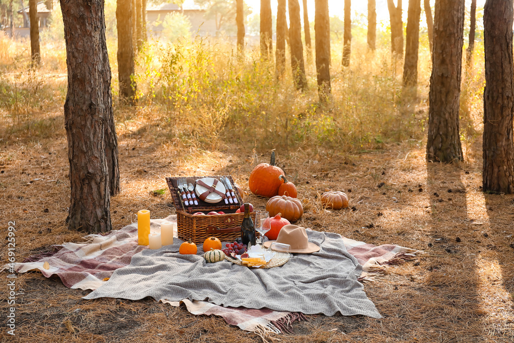 Tasty food and drink for romantic picnic in forest