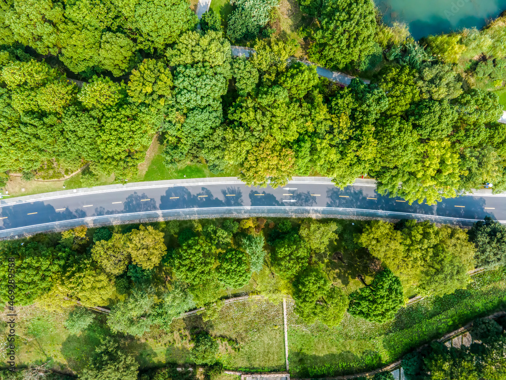 航拍户外森林道路