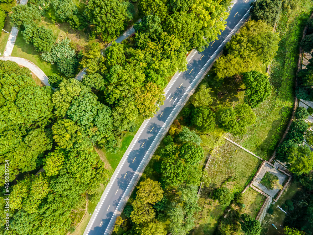 航拍户外森林公路