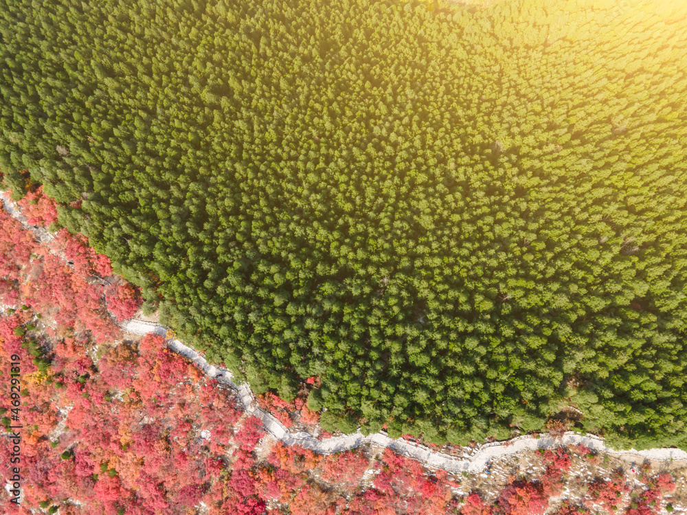 济南南山公园自然风光航拍