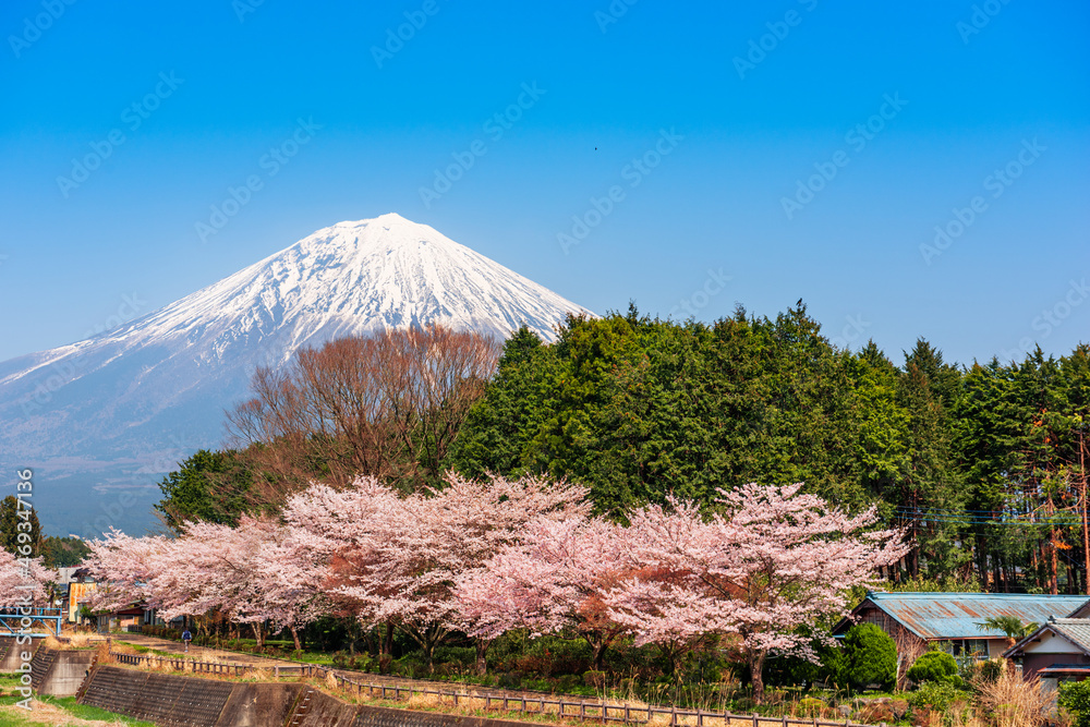 春天从静冈县农村看富士山