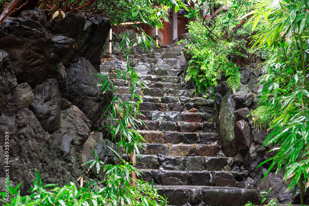 Wet Stone Steps in kyoto, Japan