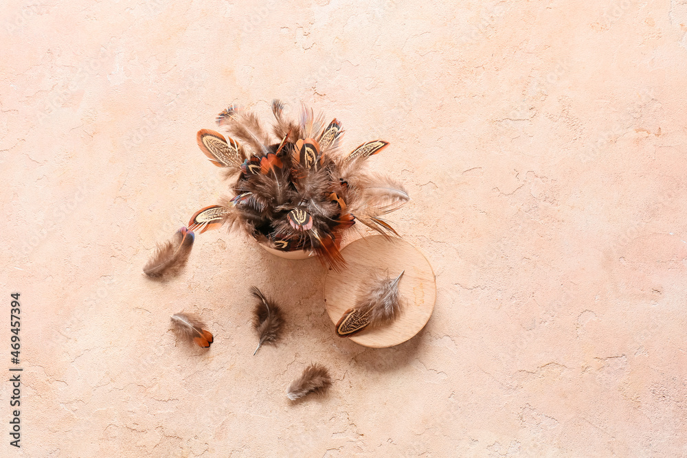 Box with pheasant feathers on beige background