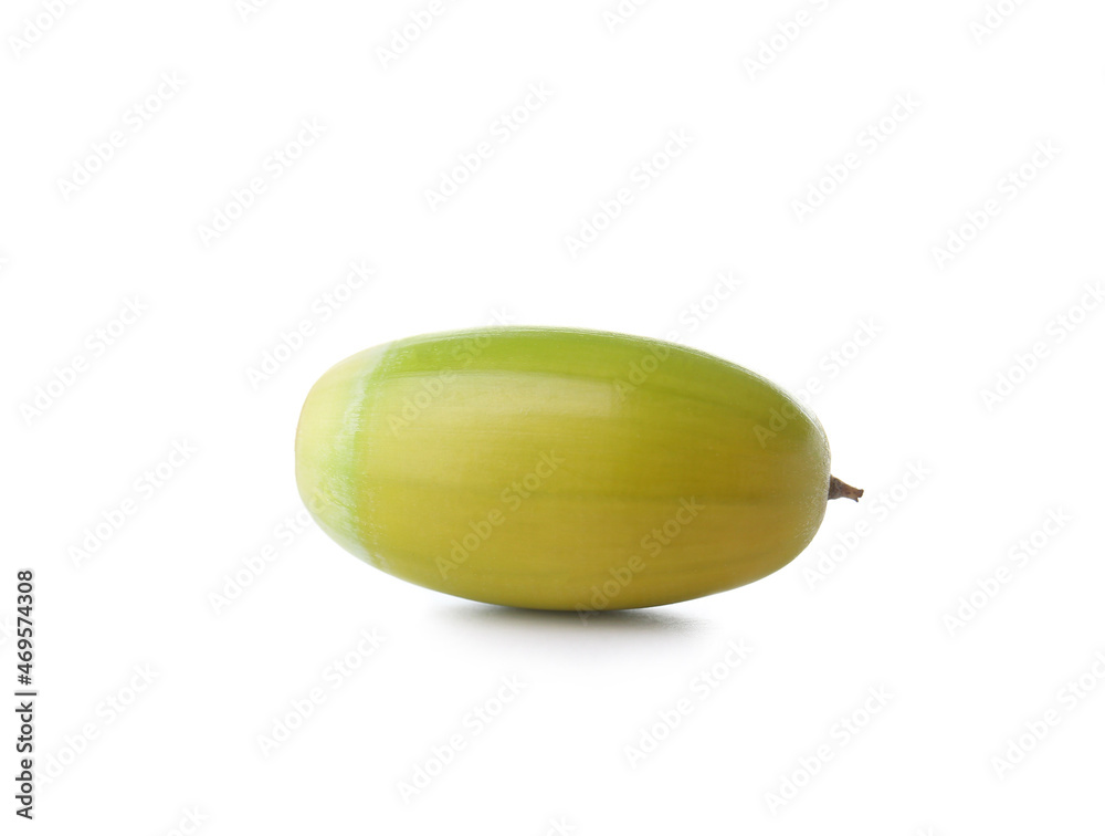 Green acorn without cap on white background