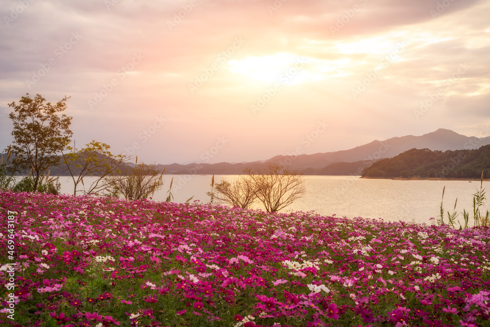 落日余晖中的千岛湖美景