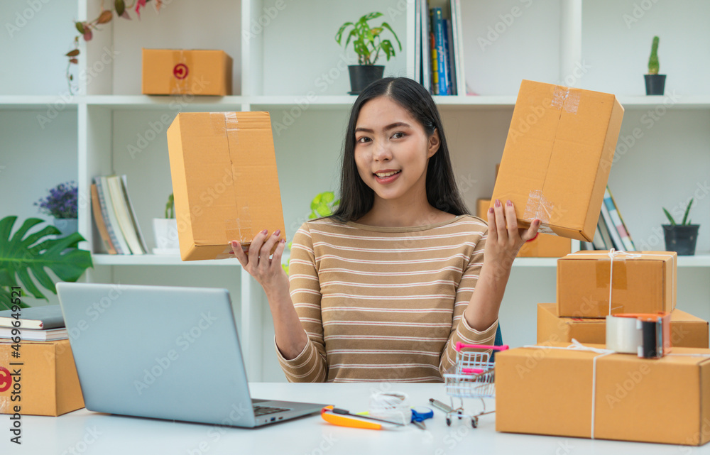 创业小企业企业家中小企业自由职业者，在家庭办公室工作的年轻女性肖像，BOX，