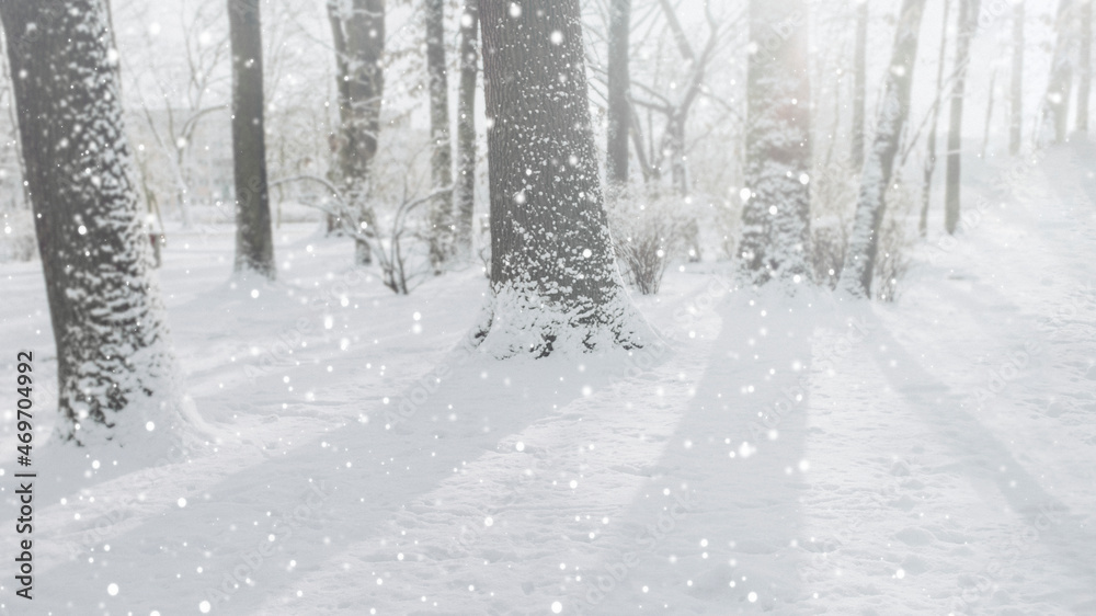 Sunbeam through the snowy forest