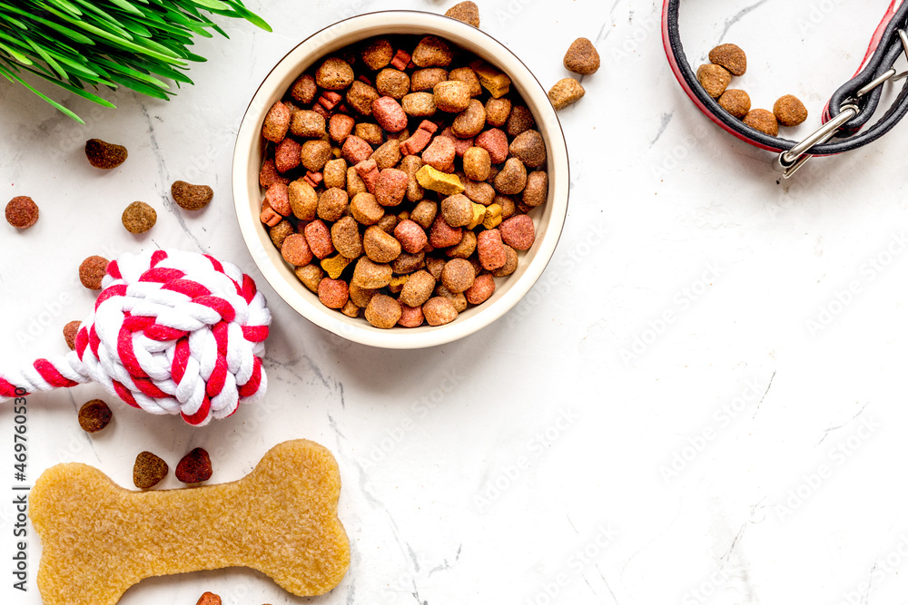 dry dog food in bowl on stone background top view