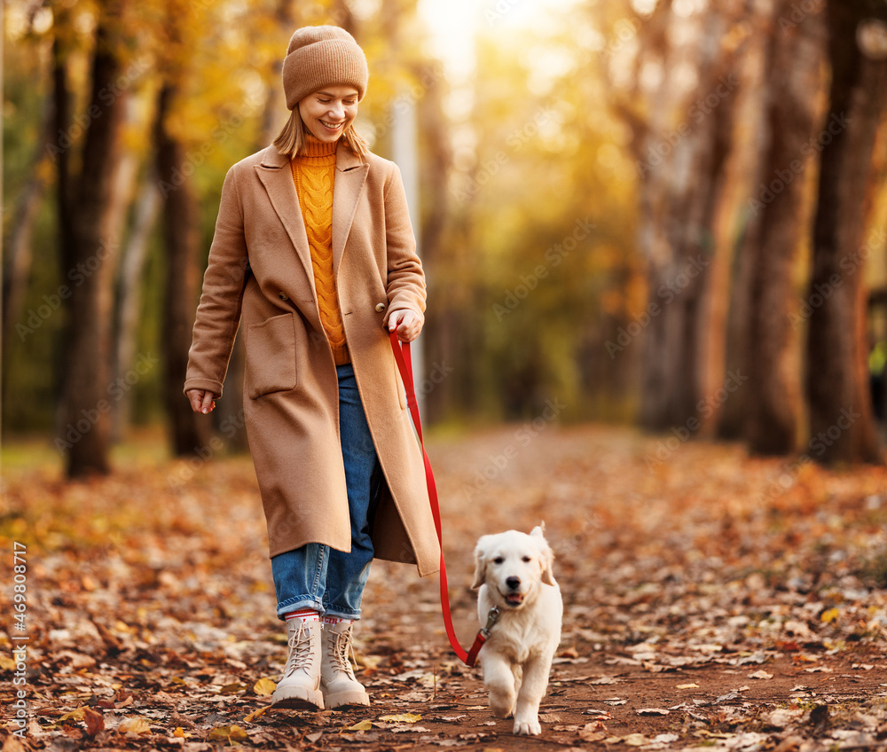 美丽的秋天，一个微笑的快乐女人在森林里遛着她可爱的金毛猎犬