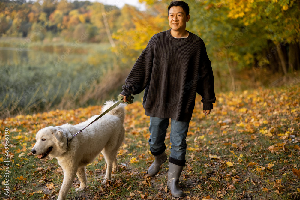 Smiling asian man walking with Maremmano-Abruzzese Sheepdog on river or lake coast at autumn morning