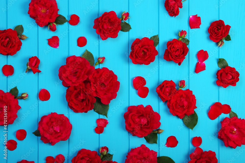 Red roses flowers on blue wood.