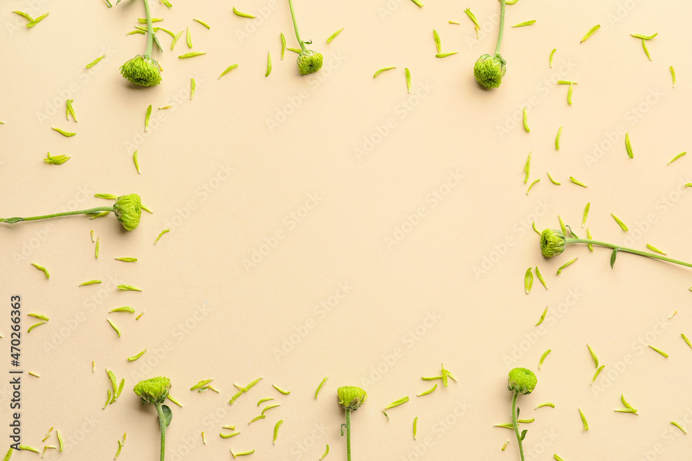 Frame made of green chrysanthemum flowers and petals on color background