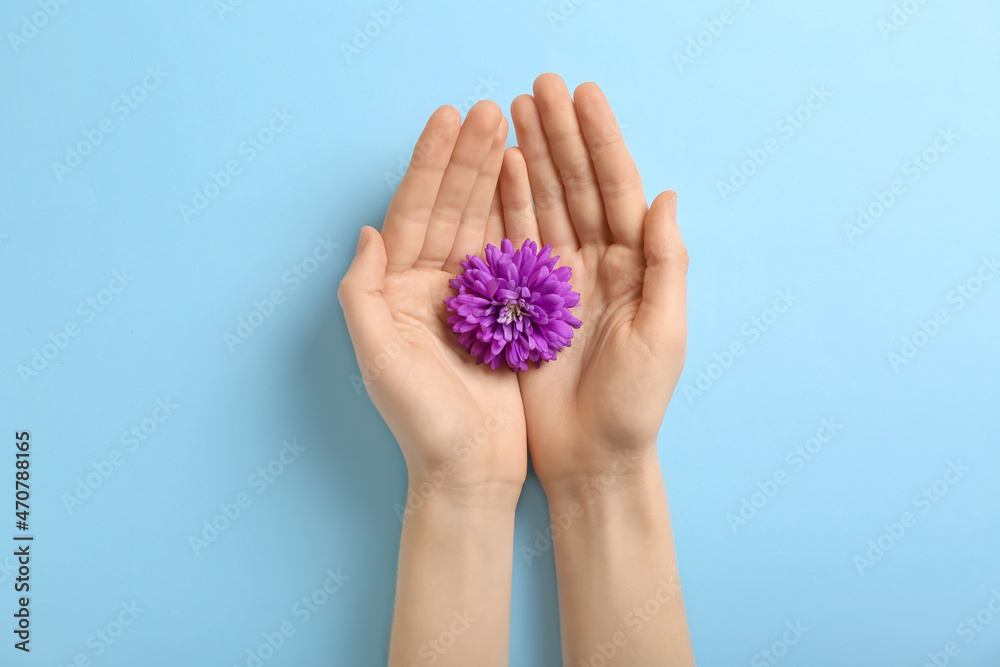 彩色背景上有紫菀花的女性手，特写