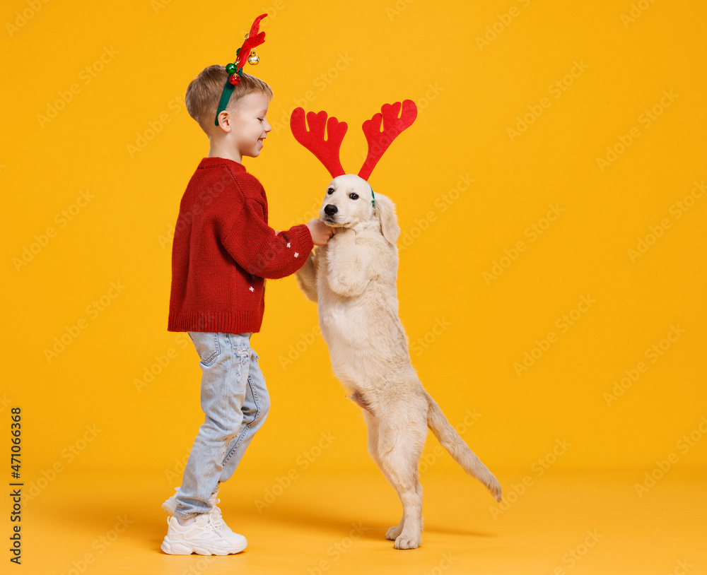 快乐的小男孩和可爱的金毛猎犬小狗戴着圣诞驯鹿角一起跳舞