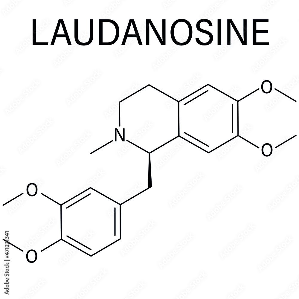 Laudanosine木瓜生物碱分子。骨架配方。