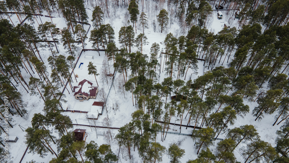 小屋和郊区村庄被雪覆盖的房屋俯视图。白雪皑皑的树木，西伯利亚的冬天