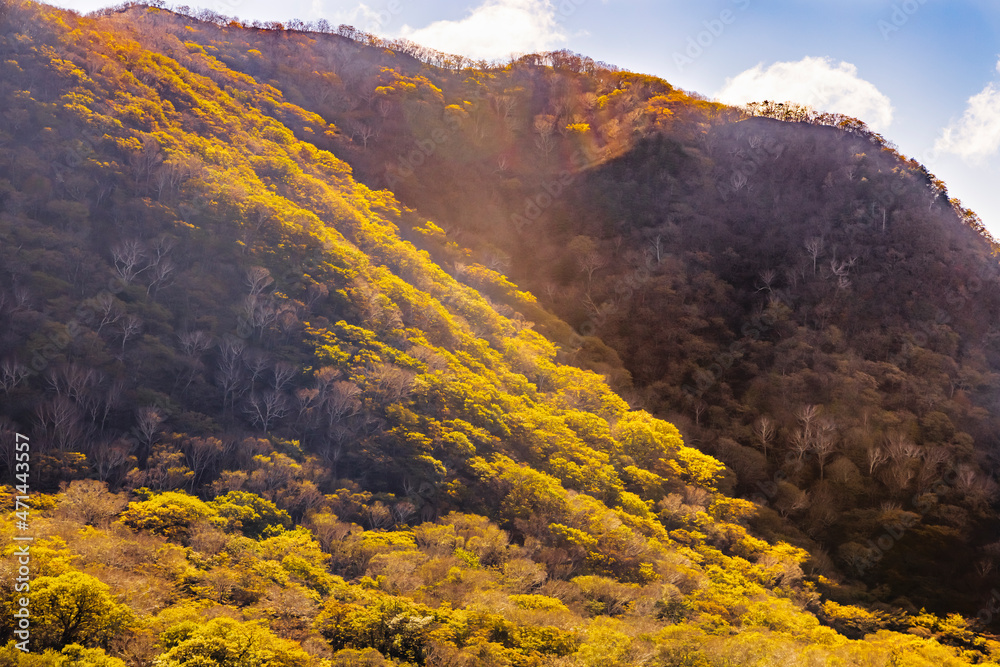 赤城山から見る紅葉した山の景色