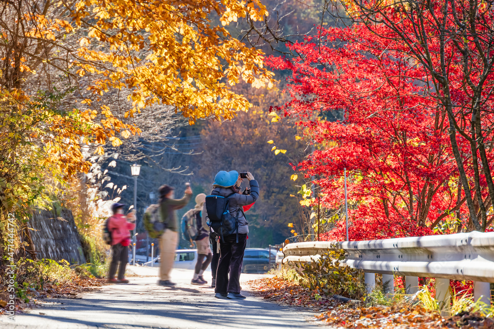 綺麗な紅葉の写真を撮る人達