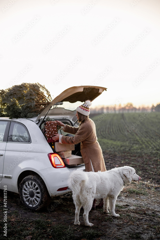 Woman packing gifts into the car with Christmas tree on a rooftop on nature at dusk. Getting ready f