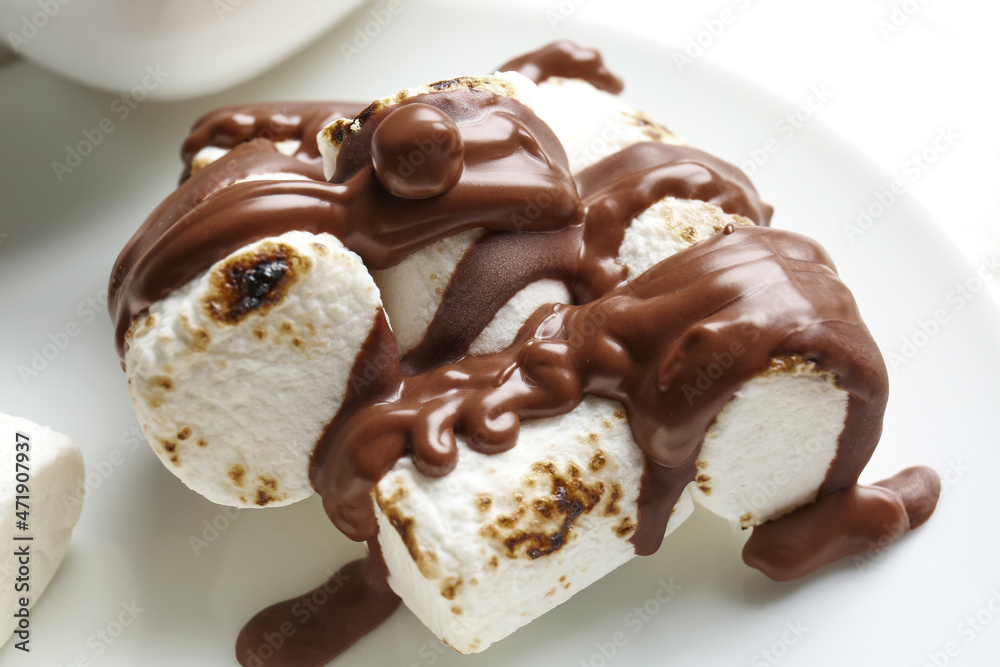 Plate of tasty grilled marshmallows in chocolate, closeup