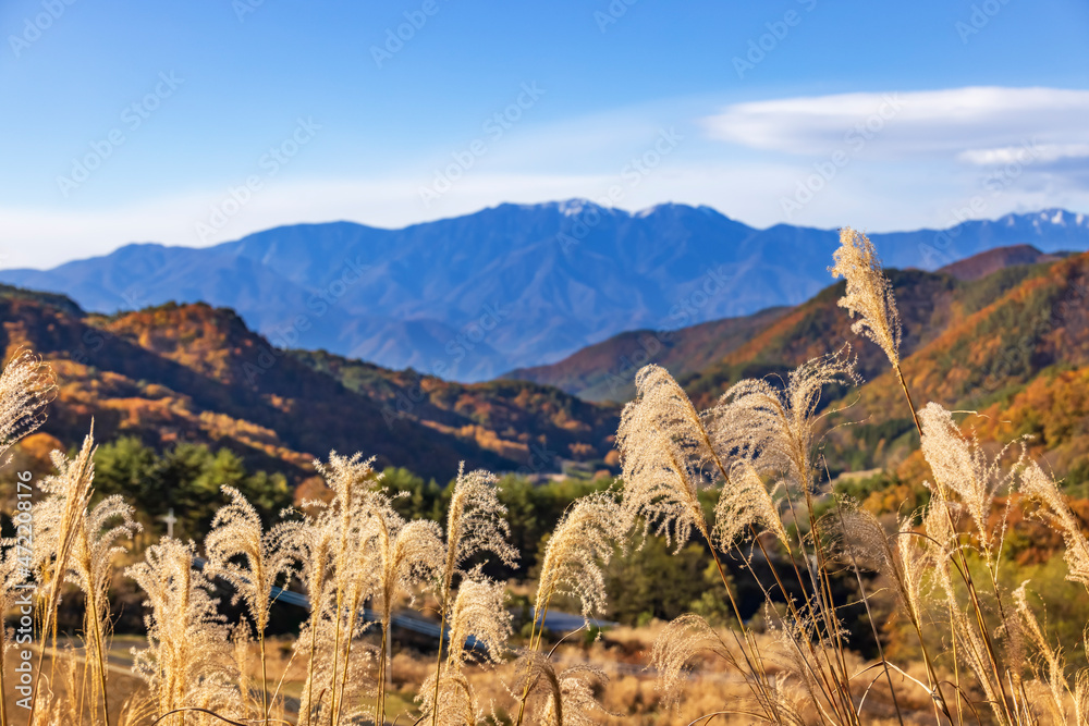 山の上のススキと遠くに見える山脈