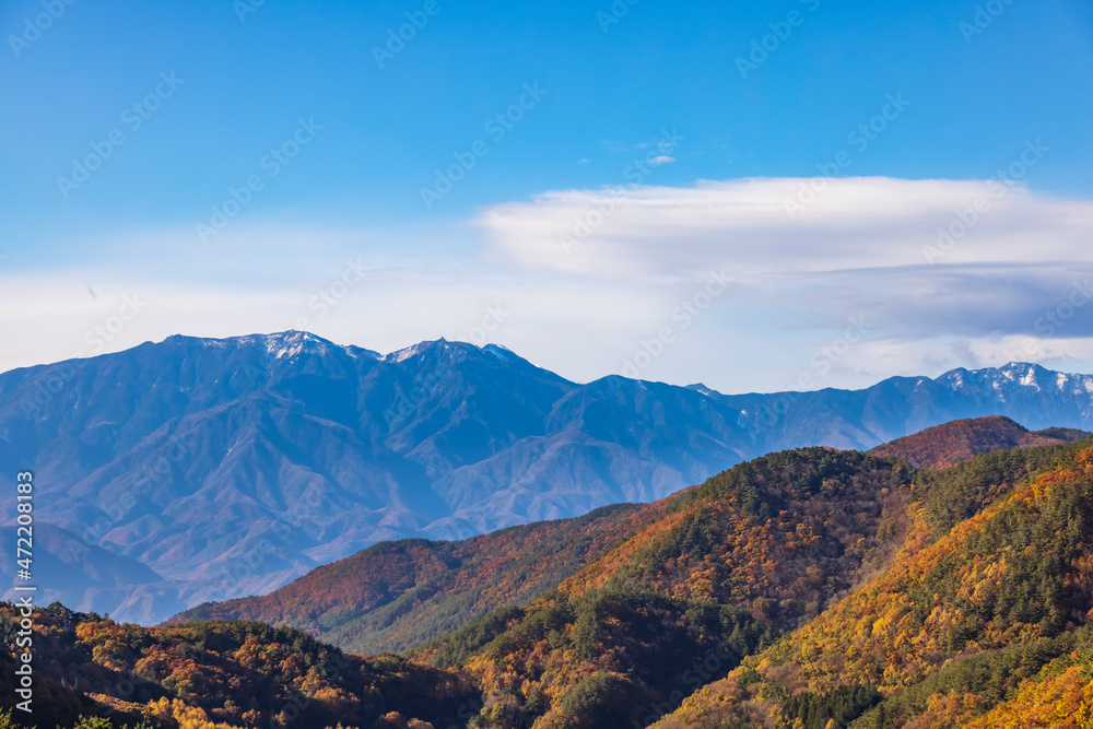 美しい山と紅葉した木