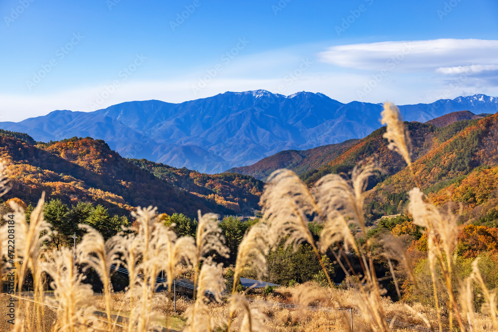 山の上のススキと遠くに見える山脈