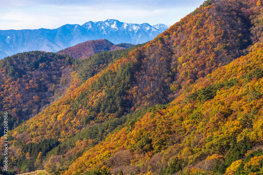 美しい山と紅葉した木