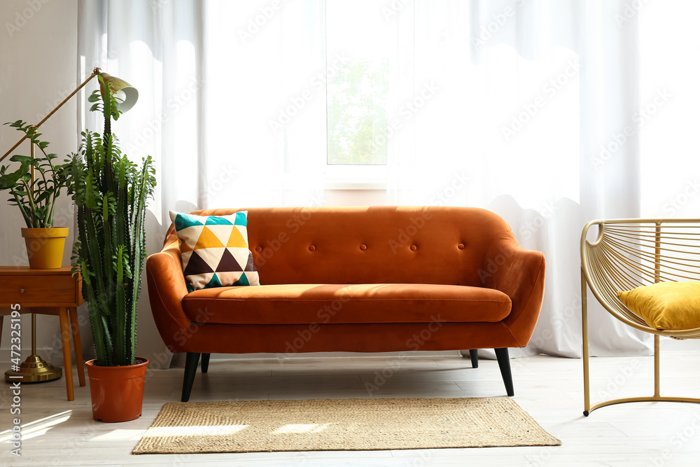 Stylish furniture with green houseplants in interior of room