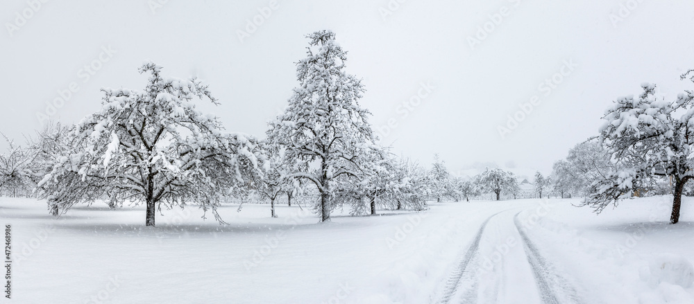 Fahrspur durch eine verschneite Landschaft mit Obstbäumen