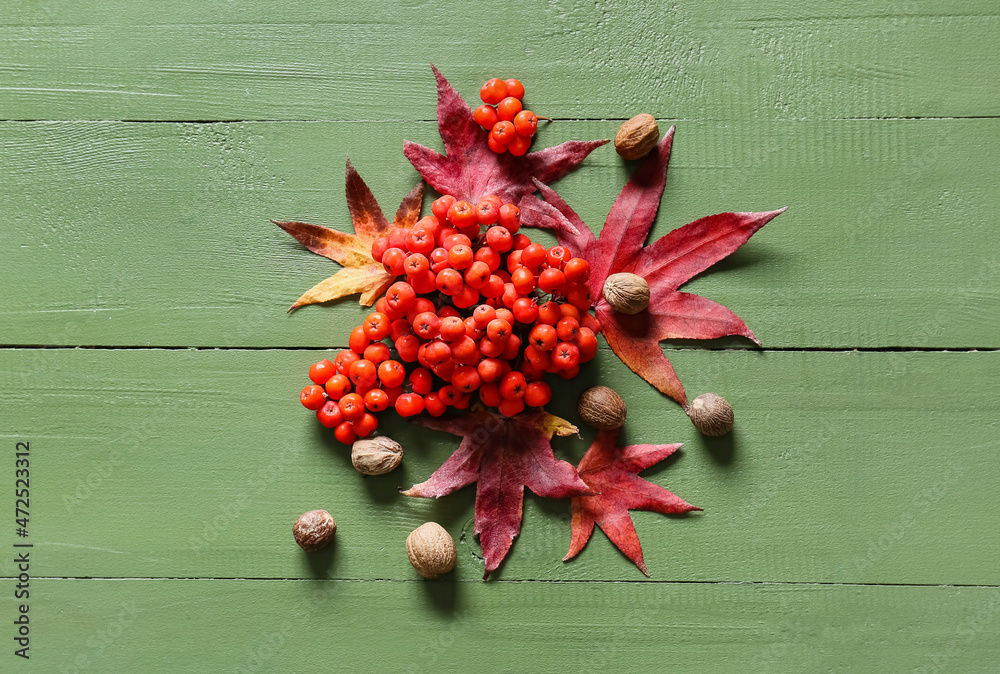 Composition with rowan berries, autumn leaves and nutmegs on color wooden background