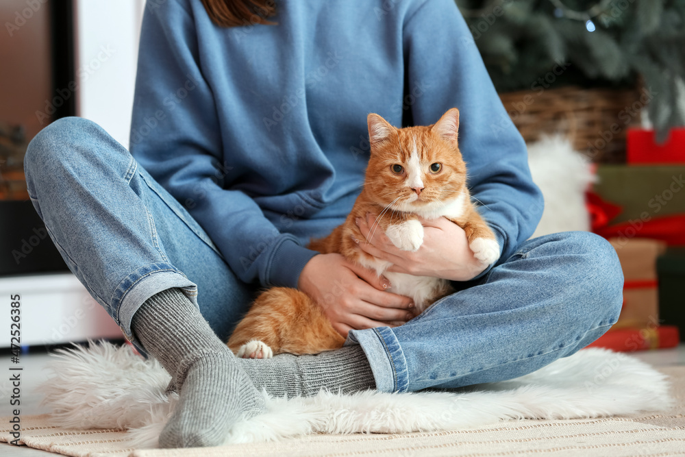 圣诞前夜家里有一只可爱的红猫的女人