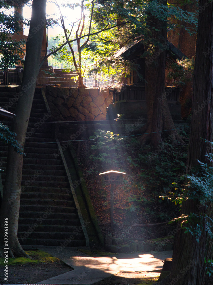 一筋の光射すお寺の境内