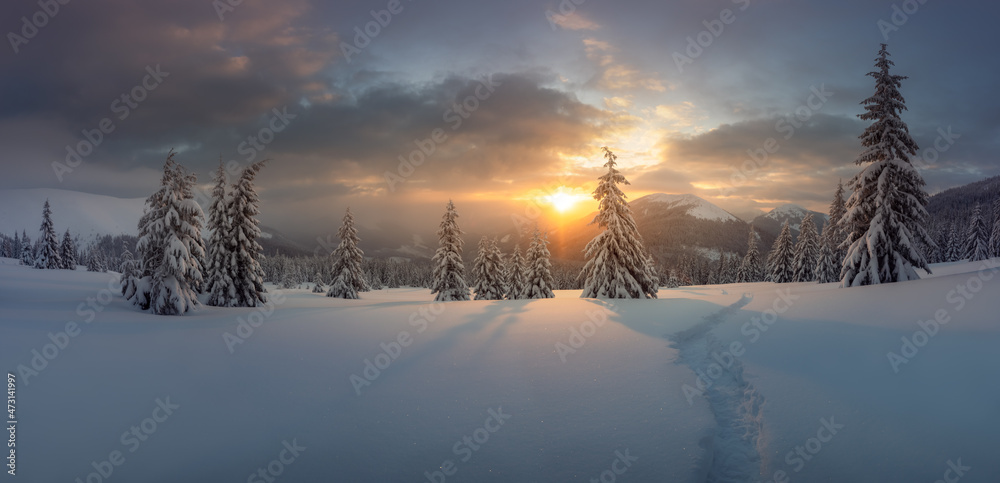 夜晚阳光照耀下的雪山中令人惊叹的冬季景观全景。戏剧性的冬季