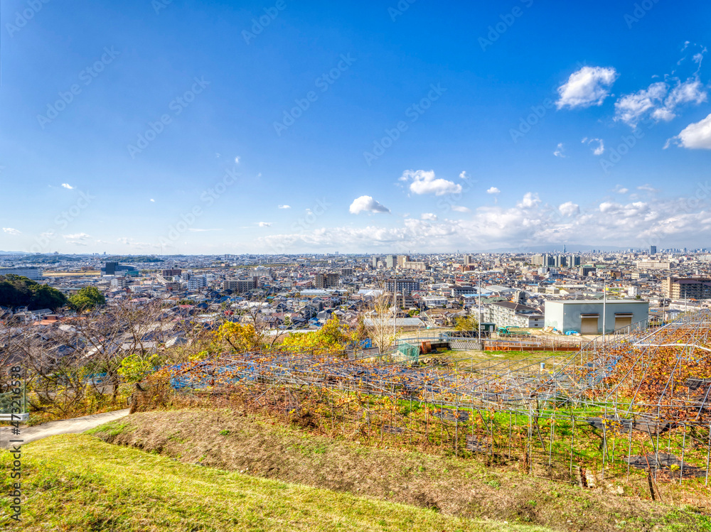 【HDR】柏原市のぶどう畑と市街地の風景