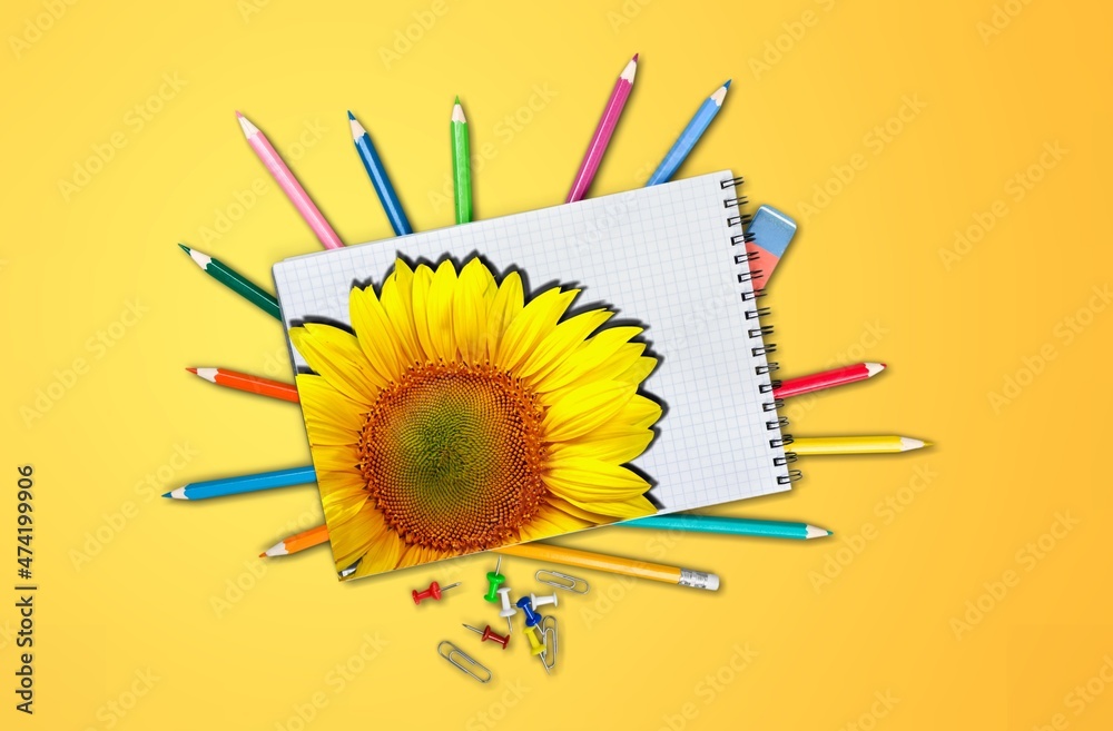 photo book with sunflower cover vector on desk background