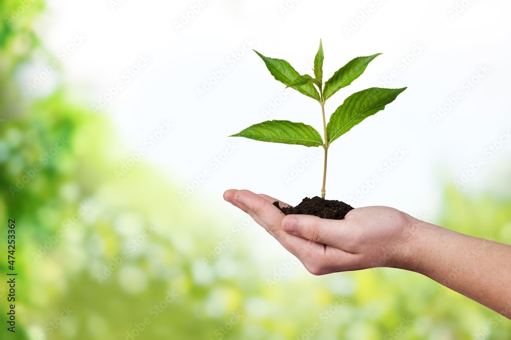 Hand planting green trees with technology of renewable resources to reduce pollution icon concept