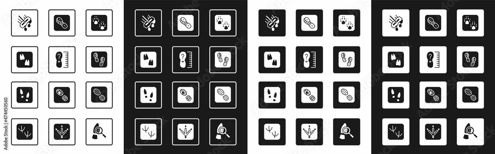 Set Paw print，Square measure foot size，Camel Paw footprint，Mop，Human footprints shoes，and icon（设置爪印，