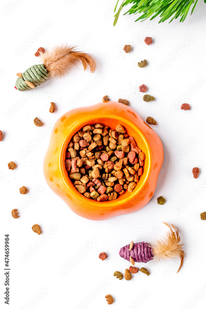 dry cat food in bowl on white background top view