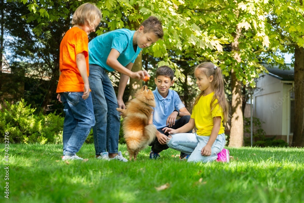 Smiling Beautiful schoolchild Playing with Happy little Dog on the Backyard Lawn.