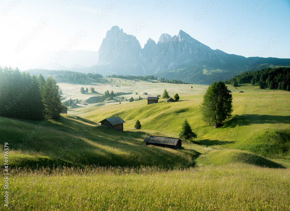 南Tyr，夏季日出时，Alpe di Siusi的多洛米蒂山脉景观和绿色草地