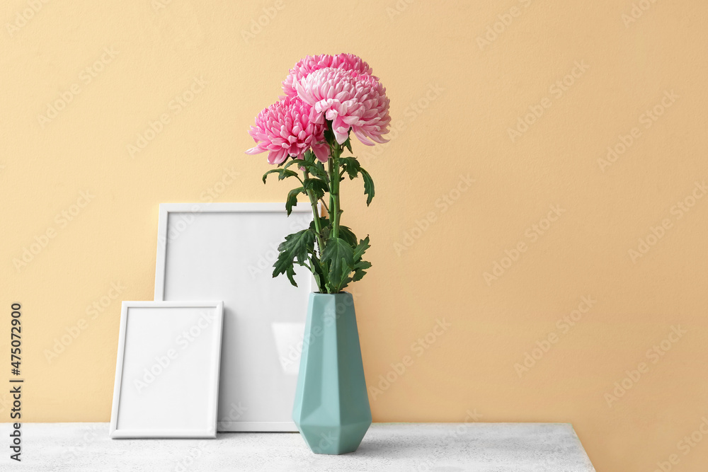 Vase with chrysanthemum flowers and blank picture frames on table against color background