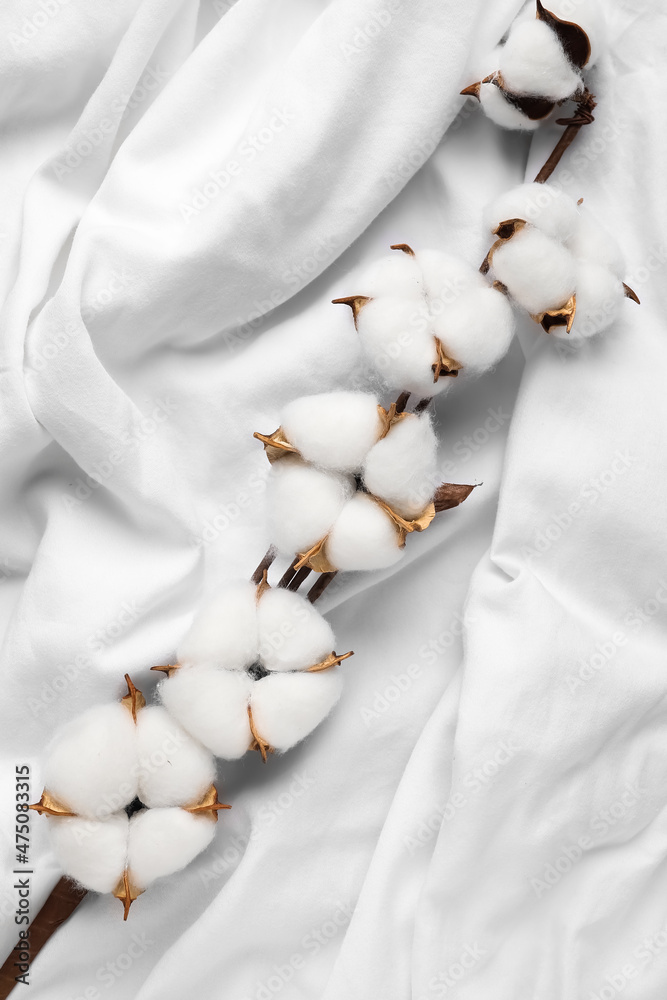 Cotton flowers on white fabric background