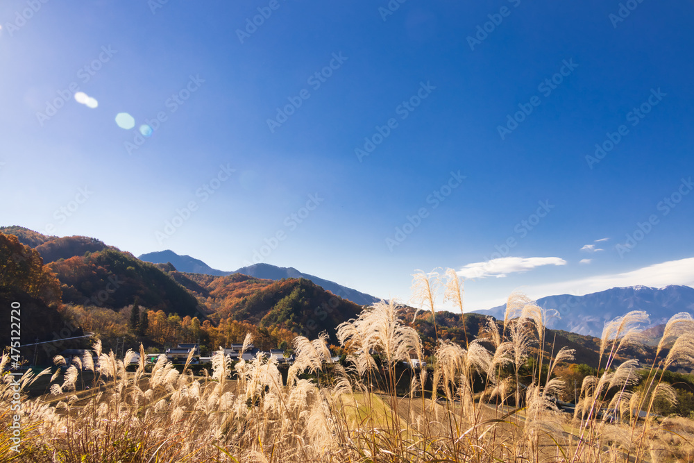 山の上のススキと遠くに見える山脈