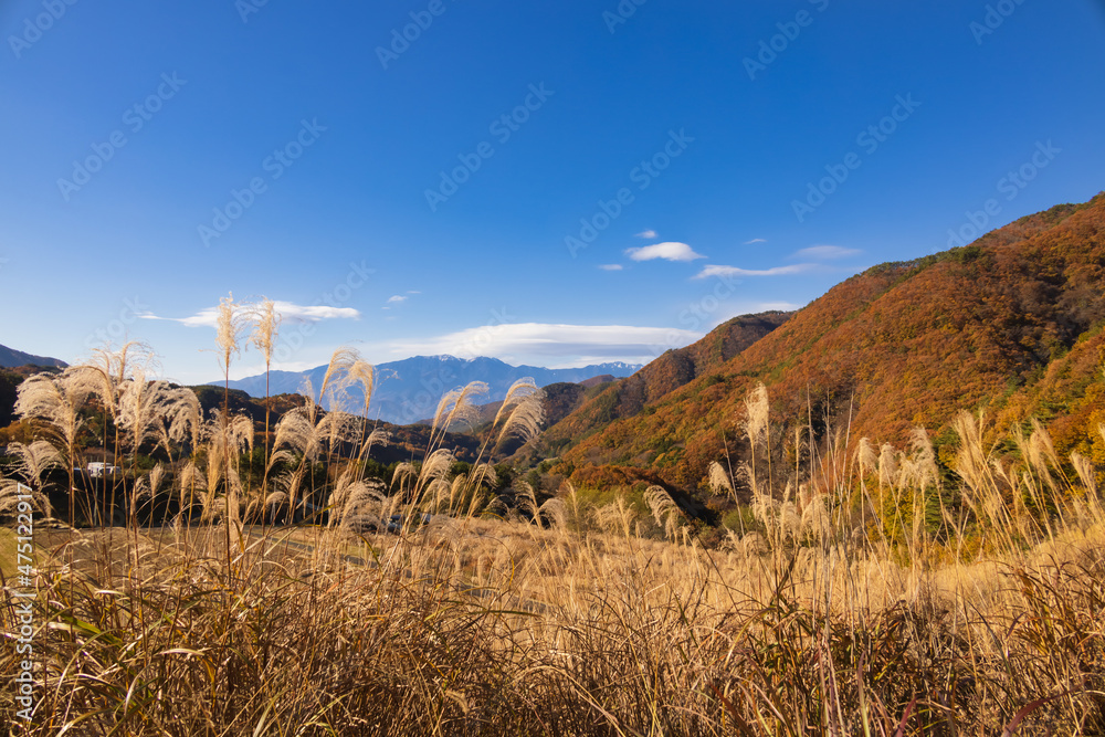 山の上のススキと遠くに見える山脈