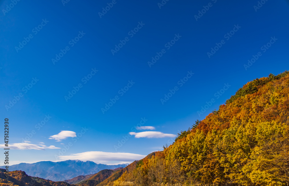 綺麗な山と紅葉した木