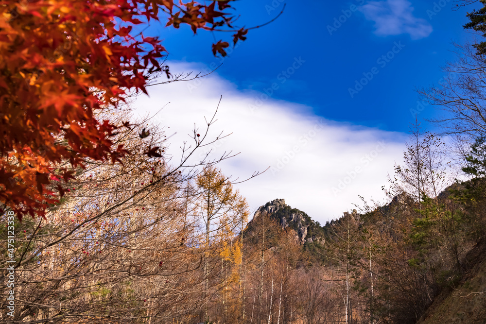 紅葉した木が生える、岩だらけの山　瑞牆山