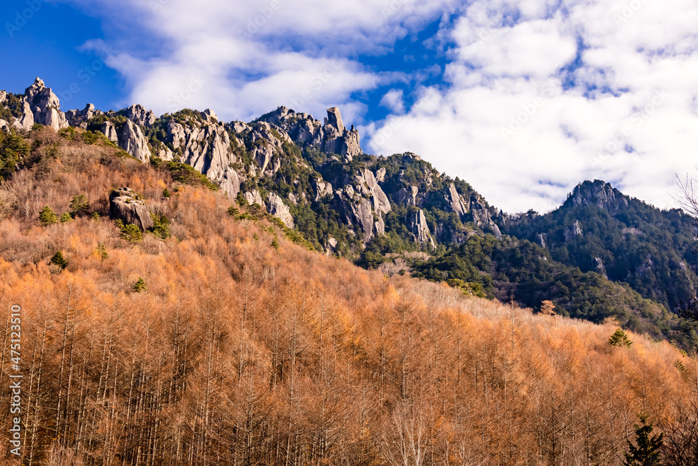 紅葉した木が生える、岩だらけの山　瑞牆山