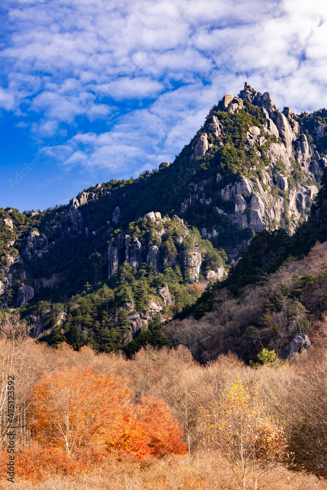 紅葉した木が生える、岩だらけの山　瑞牆山